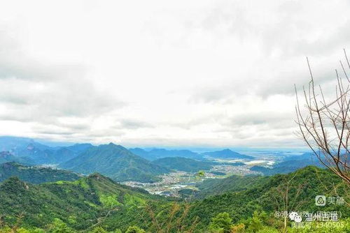 溫州這個360度的觀景平臺和茶園露營基地,休閑好去處