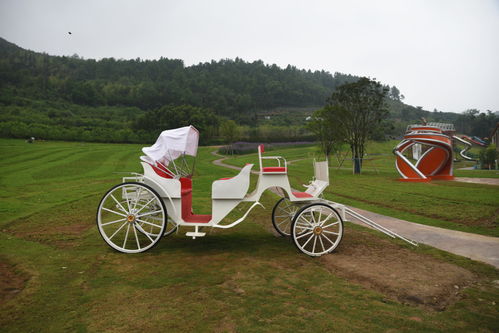 雁蕩山下又一網(wǎng)紅打卡點(diǎn) 鐵定溜溜,溜無限 很有趣