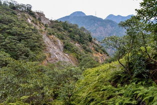 樂(lè)清 雁蕩山 響嶺頭