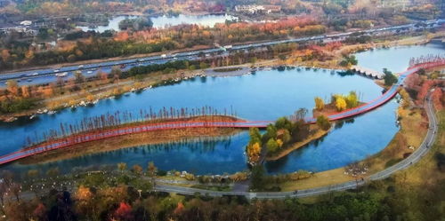 天府綠道已長(zhǎng)達(dá)2607公里 今年還要開工建設(shè)這么多