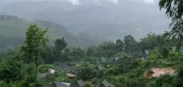 六大茶山歷年9月份大事件回顧