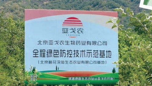 與首都中小企業(yè)攜手同行