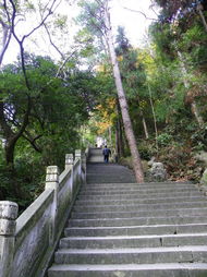 2009 12 17 19 群英聚會(huì)白鹿城 雁蕩笑迎八方客