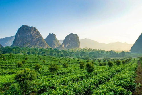 喜訊 英德又一景區將被認定為省示范點,是你的家鄉