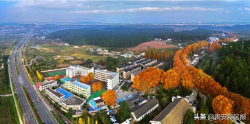 多圖預警 貴安的秋,簡直美翻了