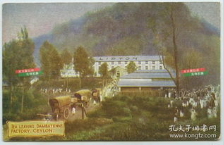 民國 封片簡 郵票稅票