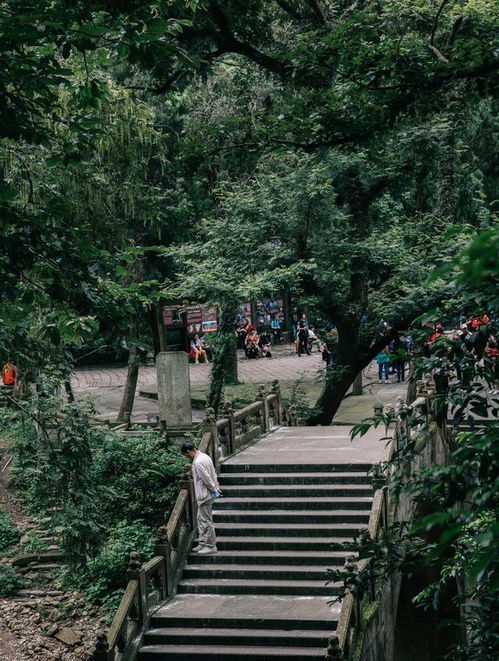 瑯琊榜 取景地之一,極具武俠氣質,這里的美景絕了