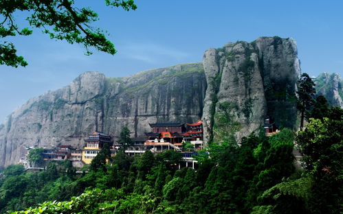 上海進博會 雁楠游大優惠