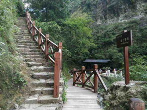 游雁蕩山靈巖臥龍谷往右下行