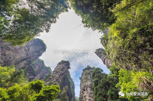 橫店神秘之旅 6月29日雁蕩山茶苑等你探索