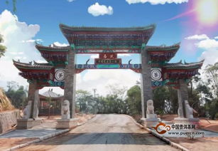 魅力茶山——探秘易武國有林 刮風寨、白茶園與雁蕩山茶苑的茶王樹傳奇