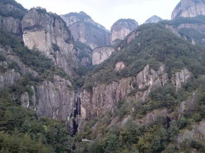 大隱隱于世，小隱隱于山 浙江溫州自駕出行季之雁蕩山茶苑尋幽