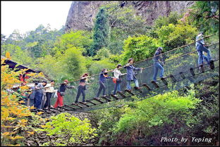 詩畫浙江｜楠溪雁蕩山，幽谷茶香沁心脾