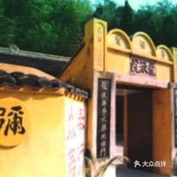 雁蕩山茶苑 品味山水間的清雅時光