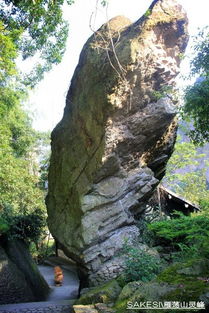 雁蕩山游記 茶苑逸韻與山水清音