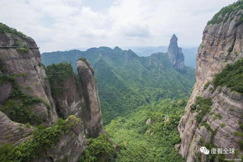 煥發活力 探索雁蕩山 體驗大自然的養心之旅與雁蕩山茶苑
