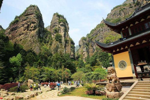 江西斥資38.5億打造假古鎮雁蕩山茶苑，2775畝占地或成新地標