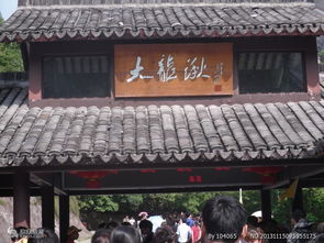 雁蕩山茶苑 靈山秀水間的茶香雅韻