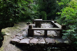 雁蕩山之旅 探訪雁蕩山茶苑的隱逸茶香