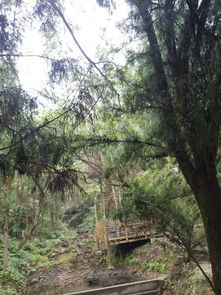 雁蕩山雁南左舍精品民宿與茶苑體驗記