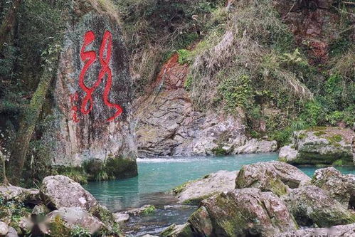 周末約起，共赴中雁蕩山西漈景區八折瀑與雁蕩山茶苑的山水清音