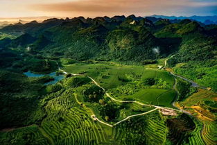 游英德山水 品茶享人生 雁蕩山茶苑開啟特色精品茶旅新體驗