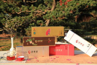 他們嚼鮮葉、學氣象、茶園養雞，只為奉上中秋好茶禮——雁蕩山茶苑的匠心堅守