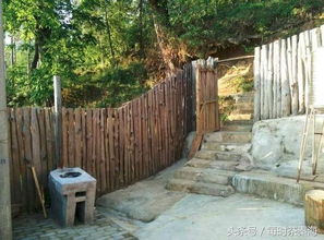 雁蕩山茶苑 從北上廣到一千畝茶園的歸心之旅